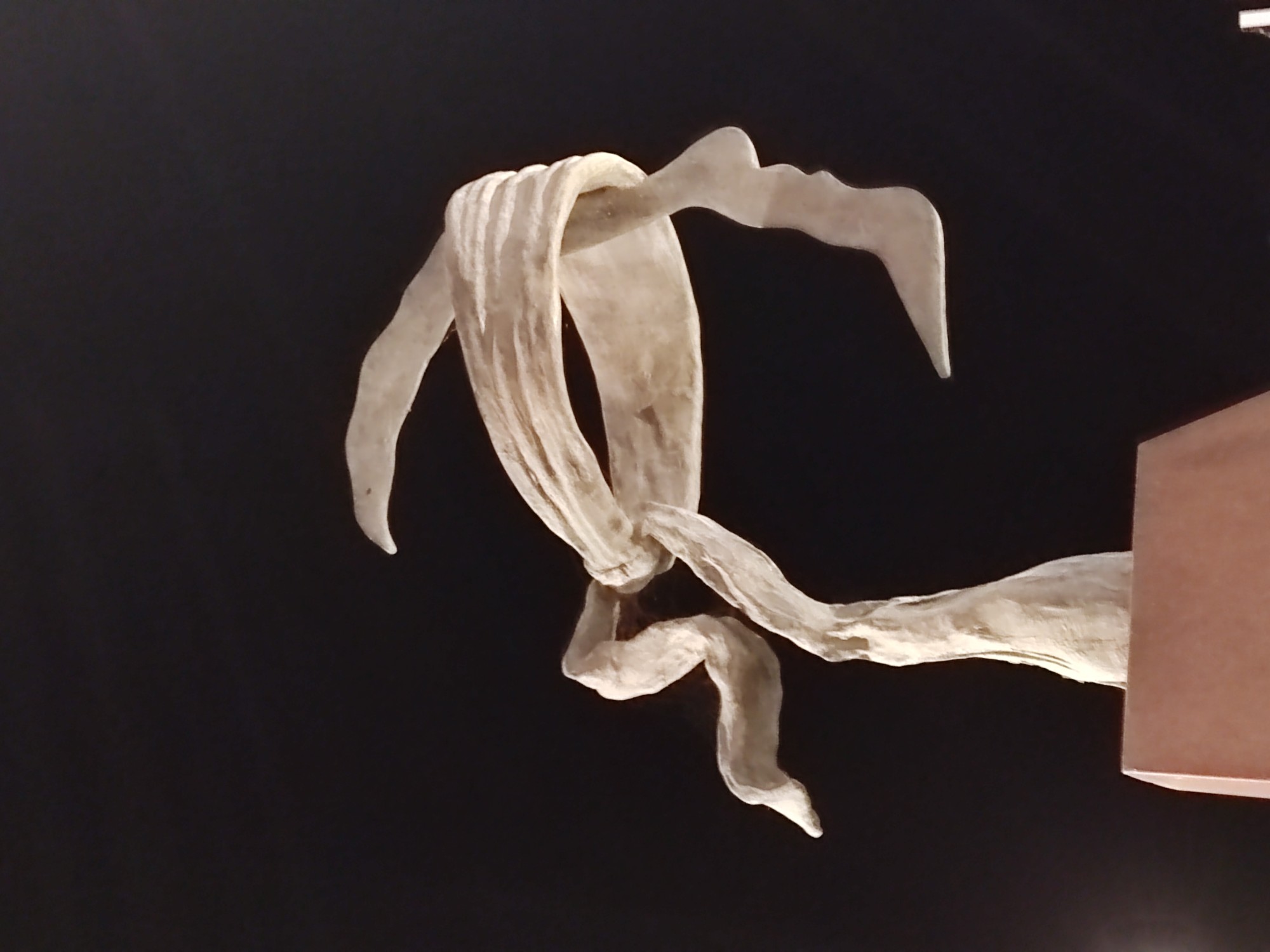 Sculpture Corse